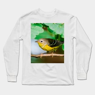 Yellow Warbler, Bird Photography Long Sleeve T-Shirt